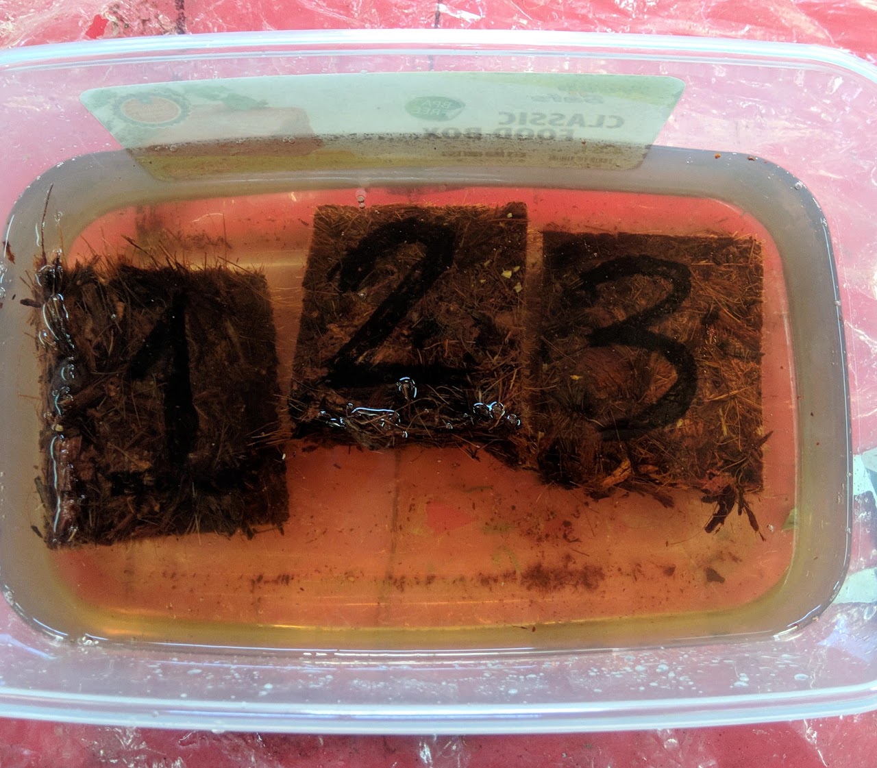 Coir PB Process Step 23